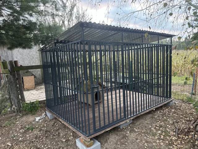 Kojec dla psa 3×2 m, woj. wielkopolskie — ujęcie 3